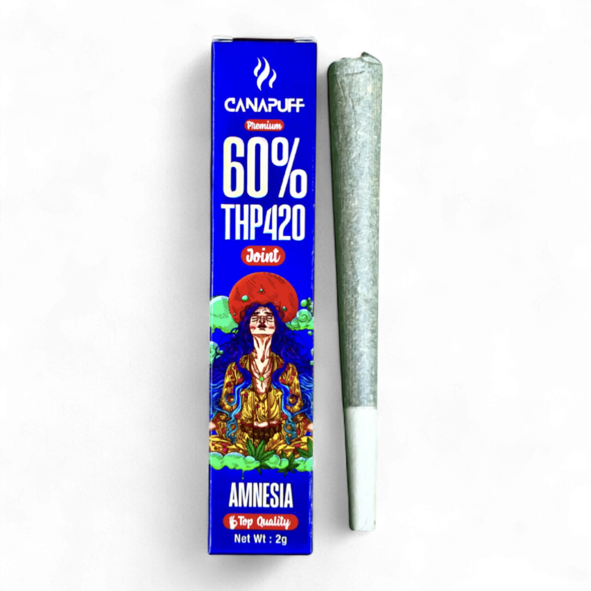 Amnesia 2g