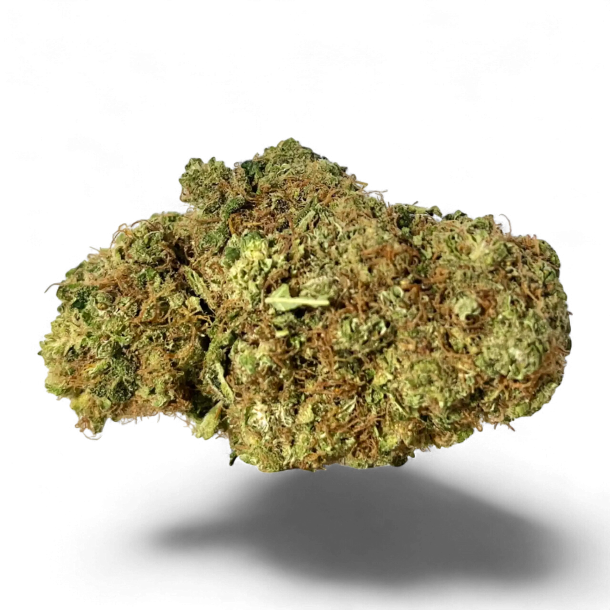 Mango+