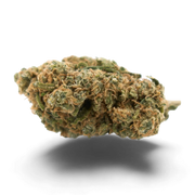 Guava 🍈