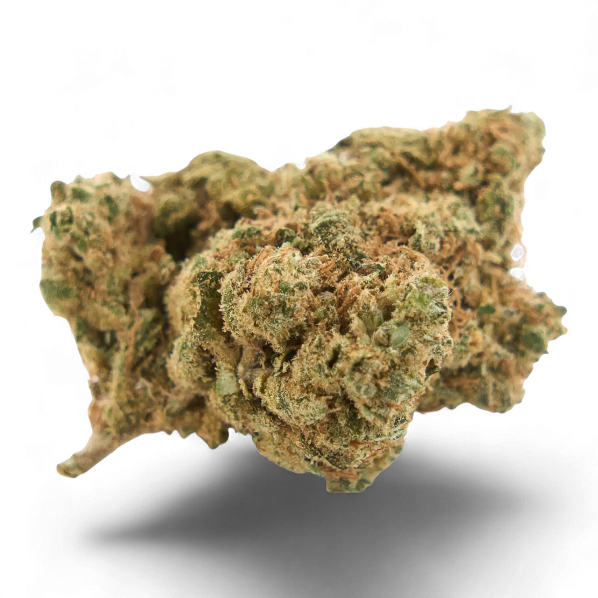 Skunk SB