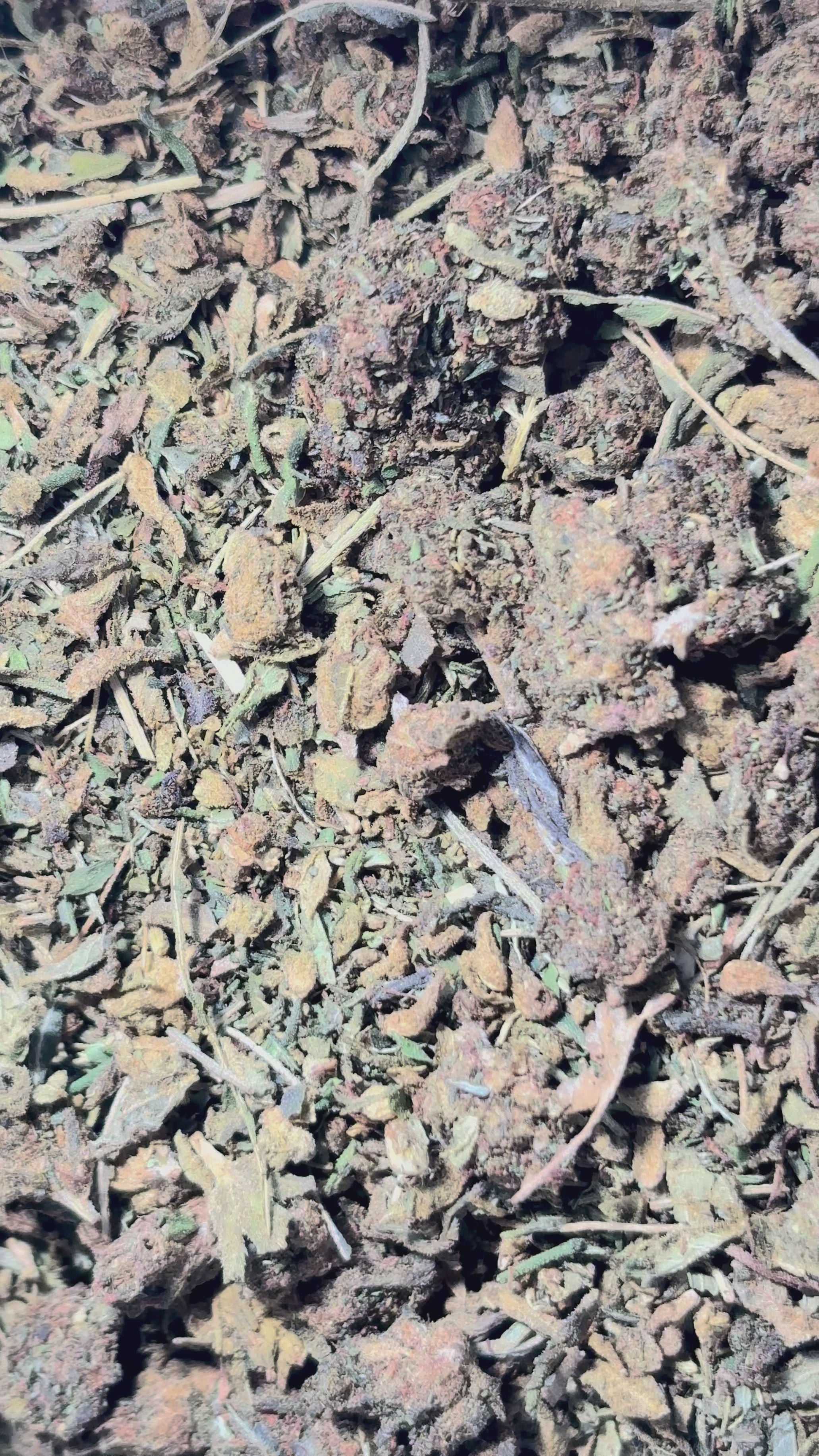 Charger la vidéo : Trim Molécules 🤯